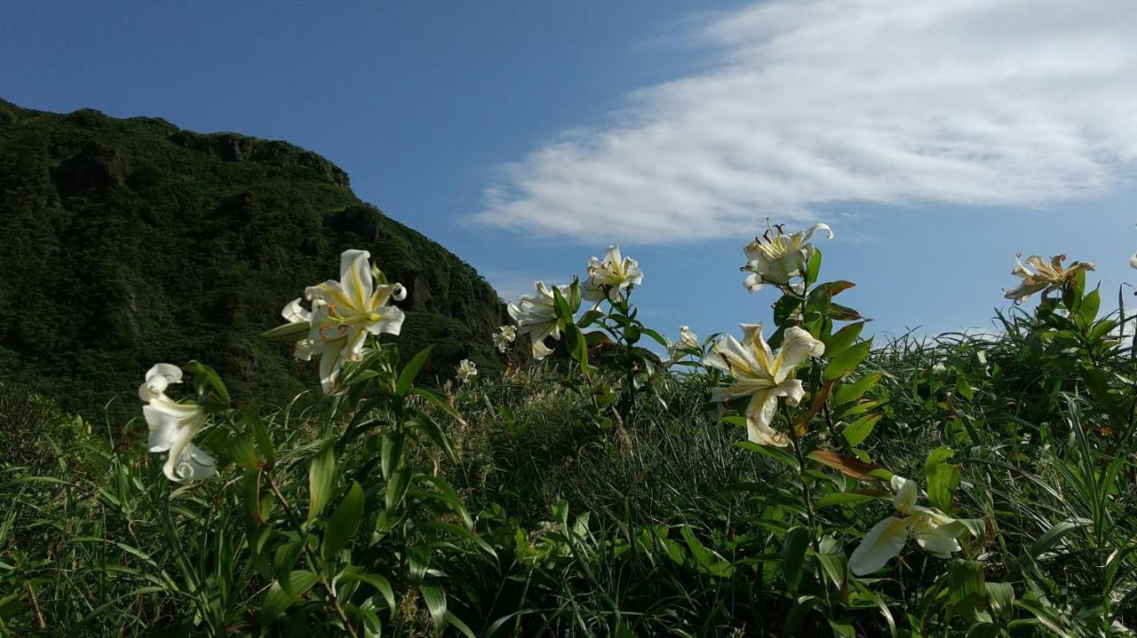 築100年の宿【はぶの家】 Oshima Exterior photo